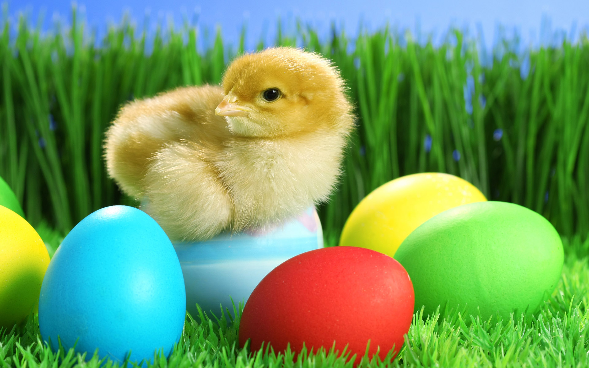 Easter-Eggs20.jpg