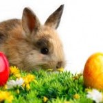 easter-day-wallpaper-for-android 4