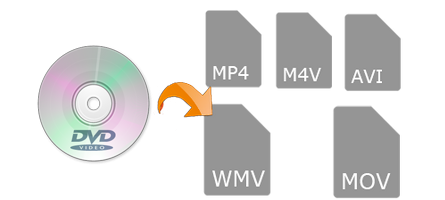 DVD-to-Digital-Converter